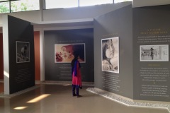 auroville-exhibition-centre-pondicherry-8